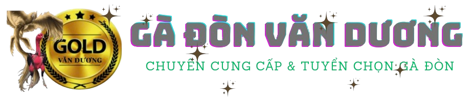 CLB Gà Đòn Văn Dương – Xổ Gà 18h30 Hằng Ngày